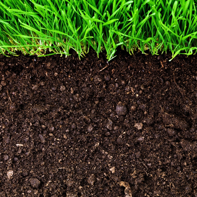 Грунт растительный в Новом дворе